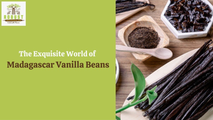 the exquisite world of madagascar vanilla beans