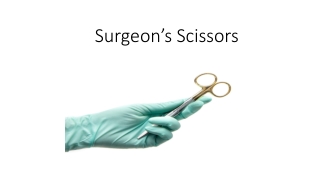 surgeon s scissors