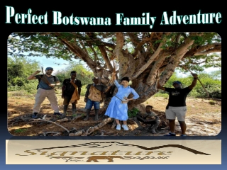 perfect botswana family adventure