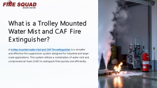 what is a trolley mounted what is a trolley