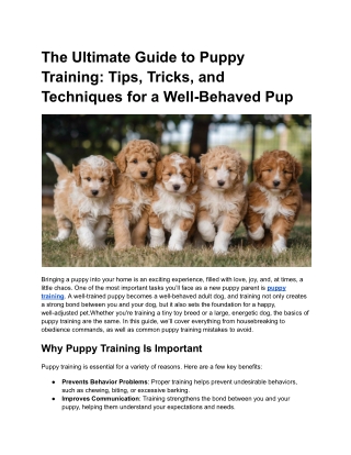 the ultimate guide to puppy training tips tricks