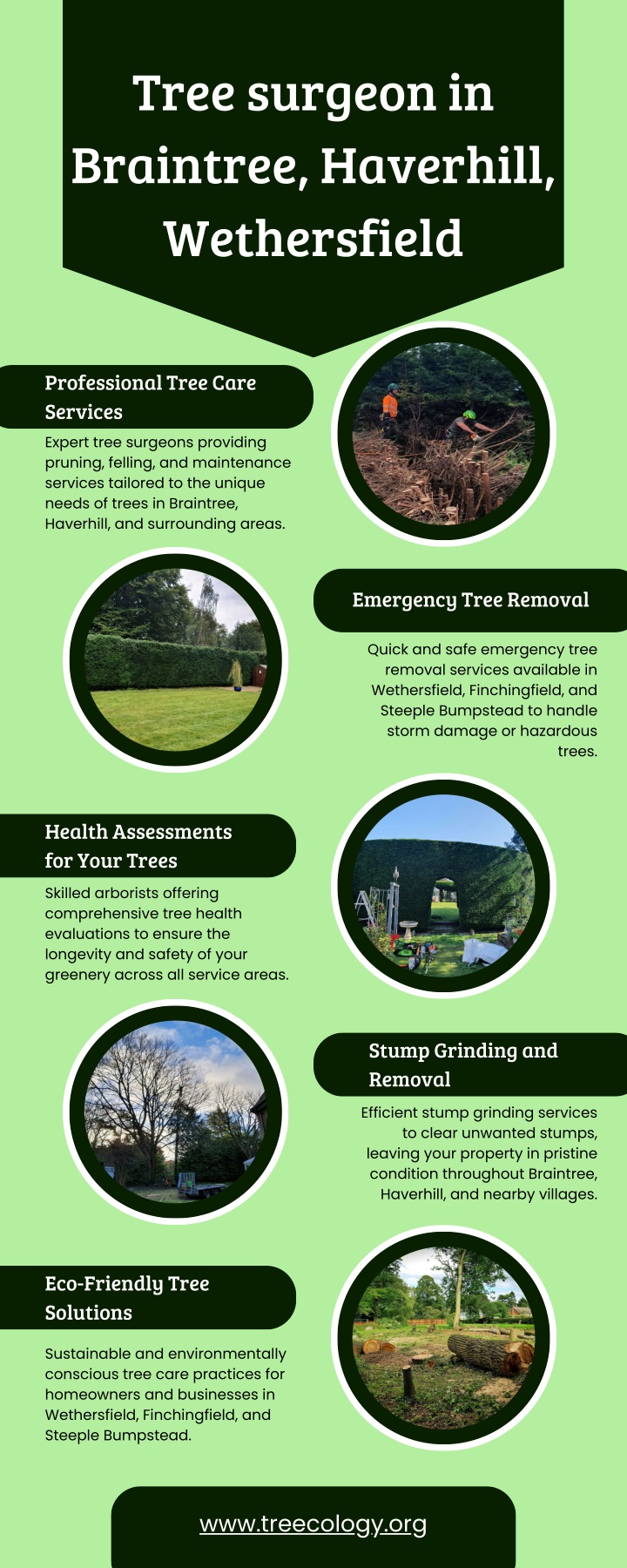 tree surgeon in braintree haverhill wethersfield