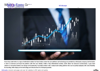forex grey label