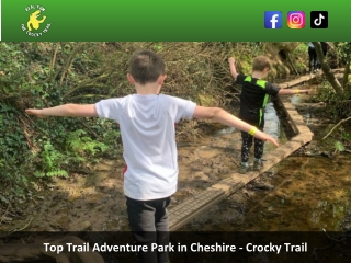 Top Trail Adventure Park in Cheshire - Crocky Trail