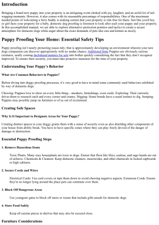 Puppy Proofing Your Home: Essential Safety Tips