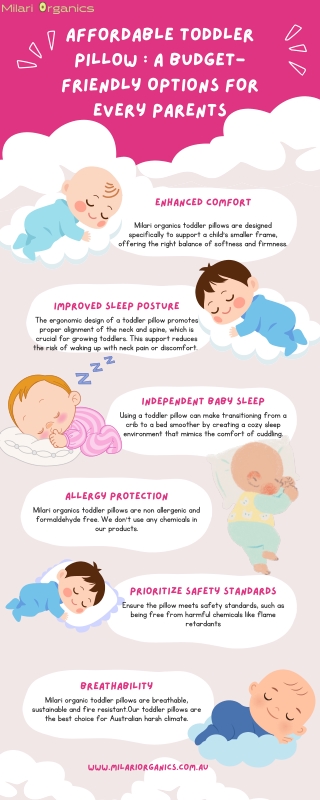 Affordable Toddler Pillow  A Budget-Friendly Options for Every Parents !