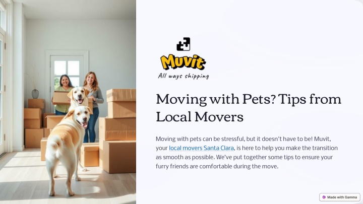 moving with pets tips from local movers