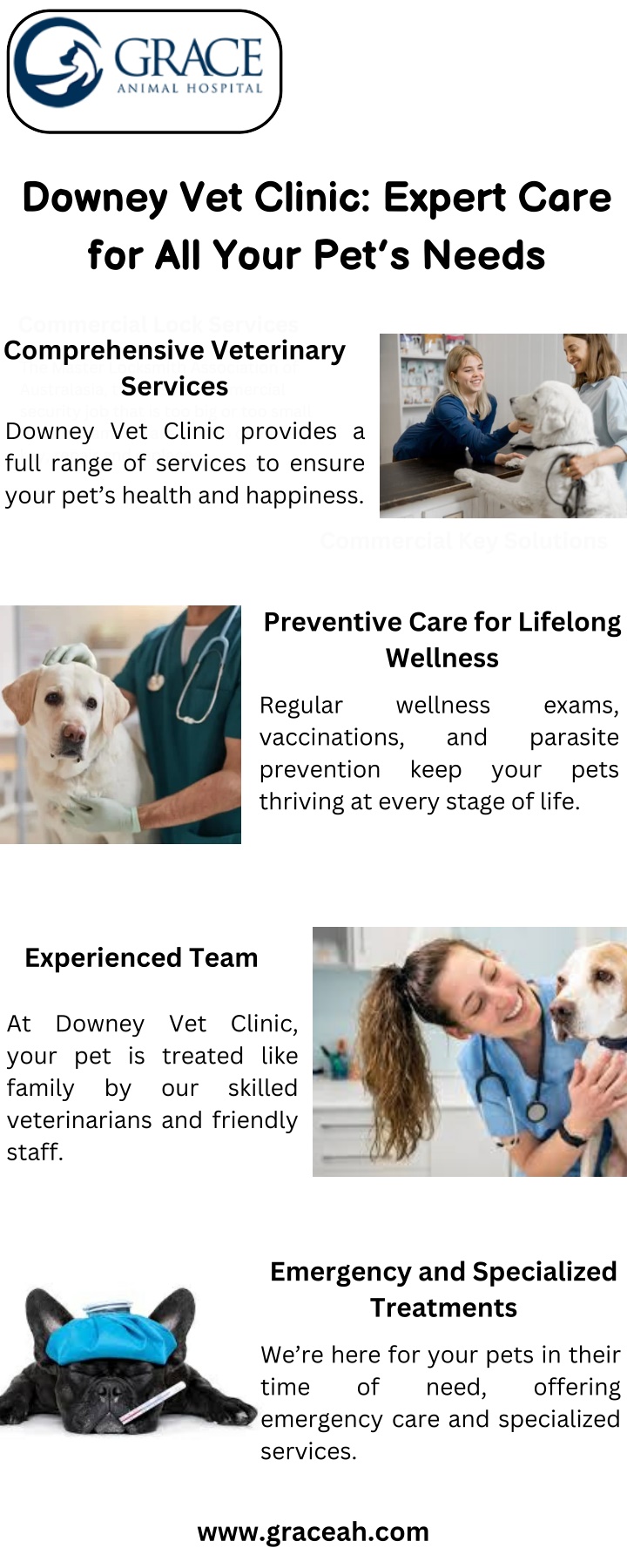 downey vet clinic expert care for all your