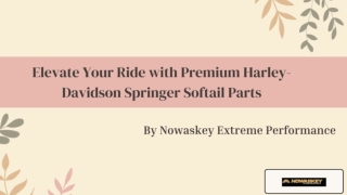 Elevate Your Ride with Premium Harley-Davidson Springer Softail Parts