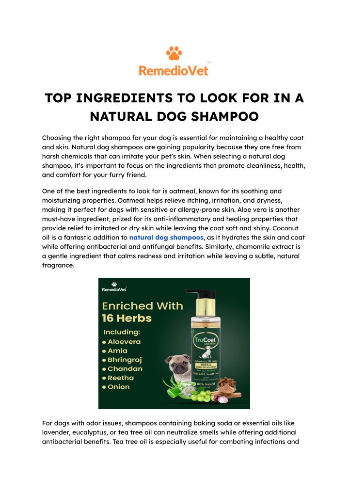 top ingredients to look for in a natural