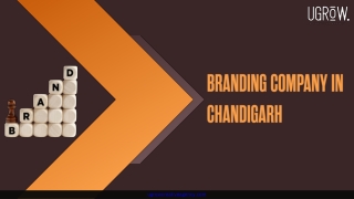 Branding Company In Chandigarh