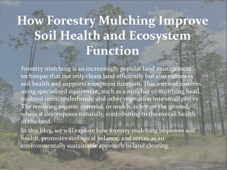 How Forestry Mulching Improve Soil Health and Ecosystem Function