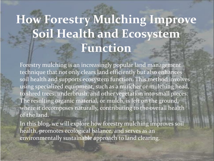 how forestry mulching improve soil health and ecosystem function