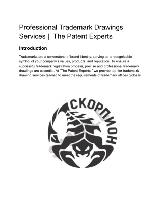 Professional Trademark Drawings Services by The Patent Experts