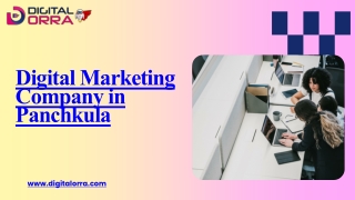 Digital Marketing Company in Panchkula