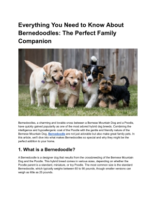 Everything You Need to Know About Bernedoodles_ The Perfect Family Companion