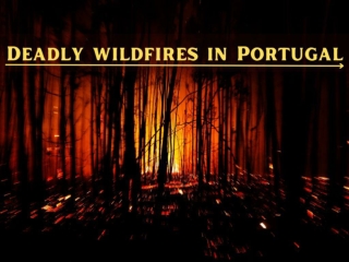 Deadly wildfires in Portugal