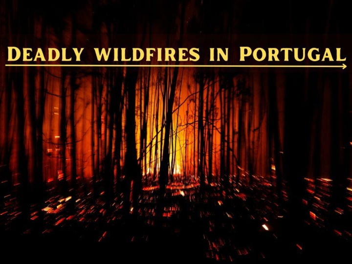 deadly wildfires in portugal