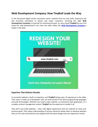 Web Development Company- How TinyBull Leads the Way.
