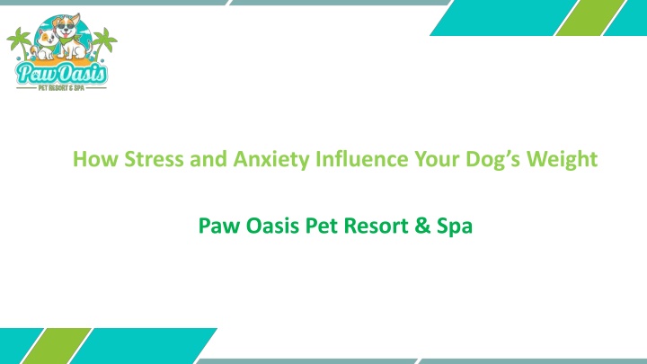 paw oasis pet resort spa