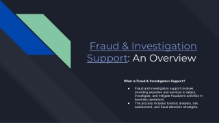 fraud investigation support an overview