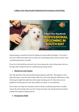 5 Signs Your Dog Needs Professional Grooming in South Bay