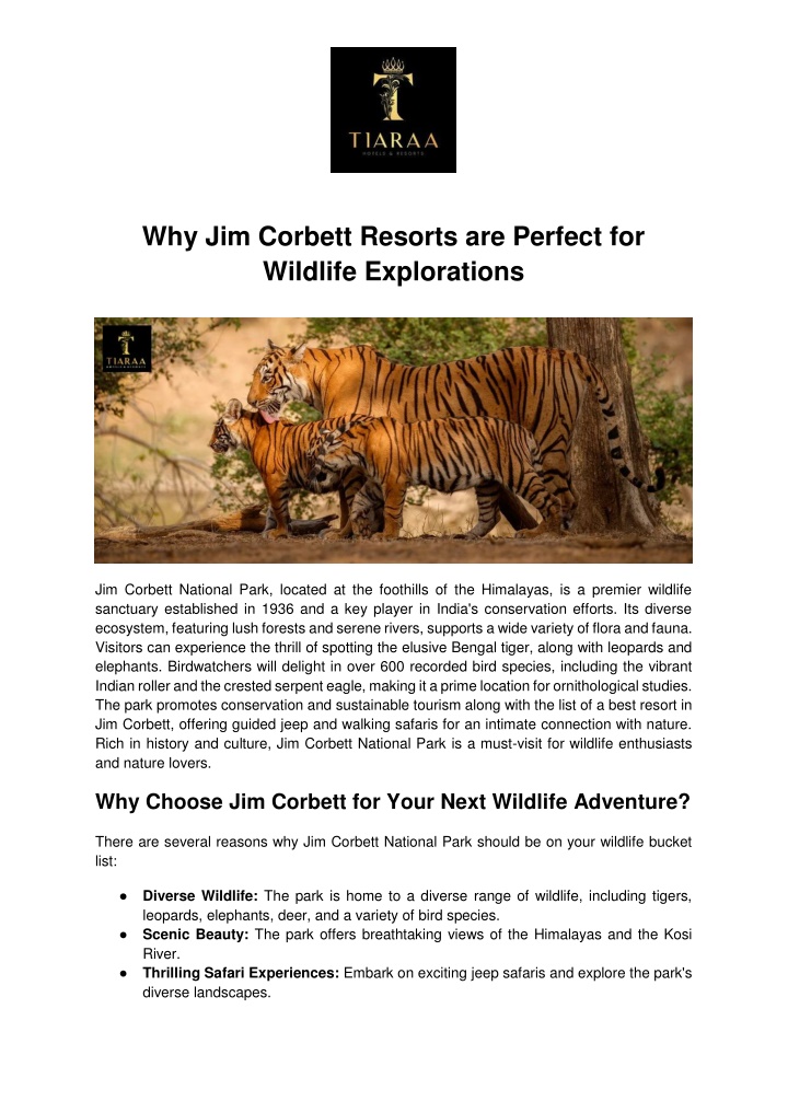 why jim corbett resorts are perfect for wildlife