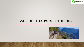 Hike Machu Picchu Inca Trail with Alpaca Expeditions