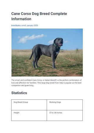 Cane Corso Dog Breed Complete Information
