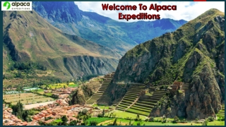 Experience the Majestic Hike to Sun Gate with Alpaca Expeditions