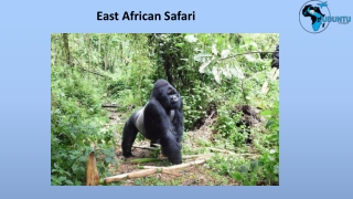 East African Safari