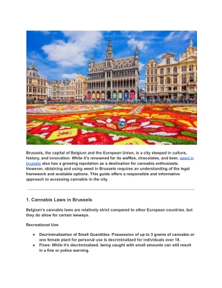 How to Get Weed in Brussels_ A Responsible Guide