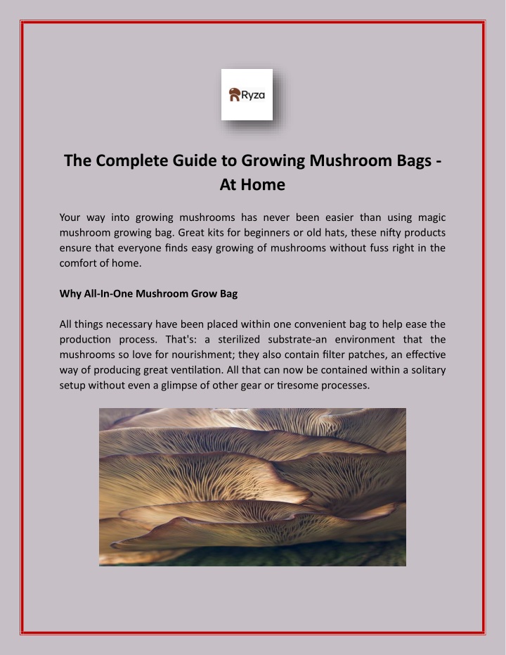 the complete guide to growing mushroom bags