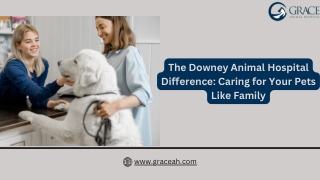 Downey Animal Hospital: Expert Care for Every Stage of Your Pet’s Life