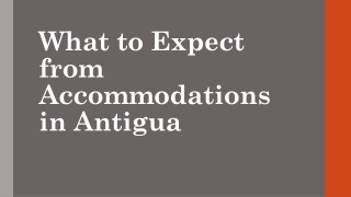 What to Expect from Accommodations in Antigua