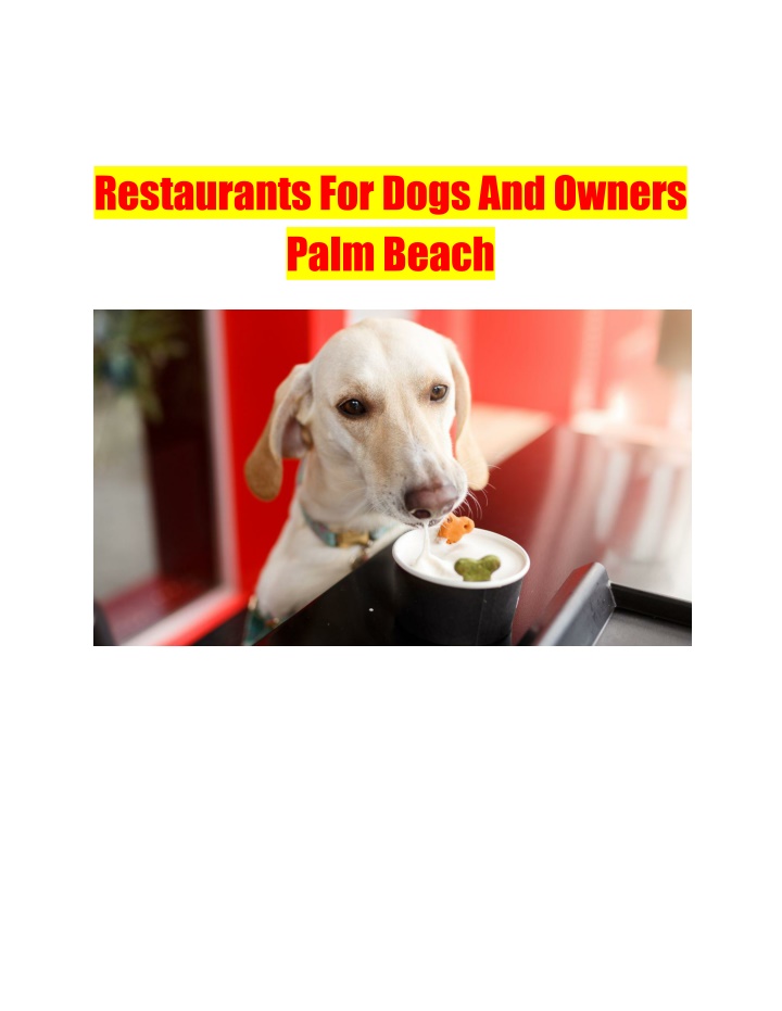 restaurantsfordogsandowners palmbeach