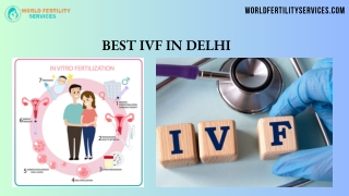 Best IVF in Delhi - World Fertility Services