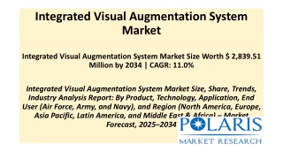 integrated visual augmentation system market