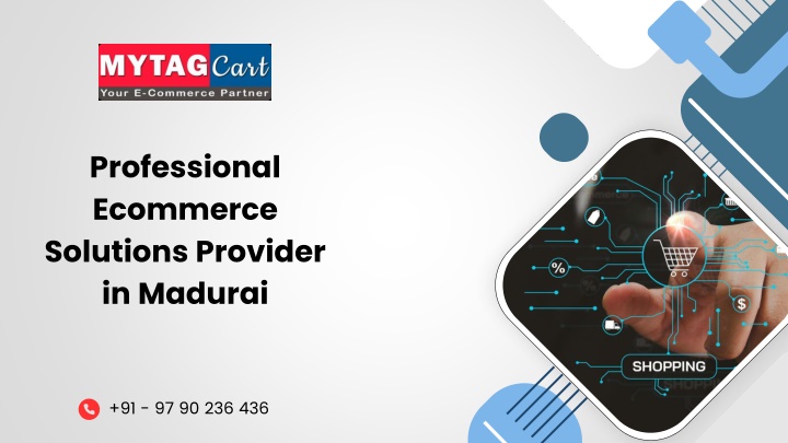 professional ecommerce solutions provider