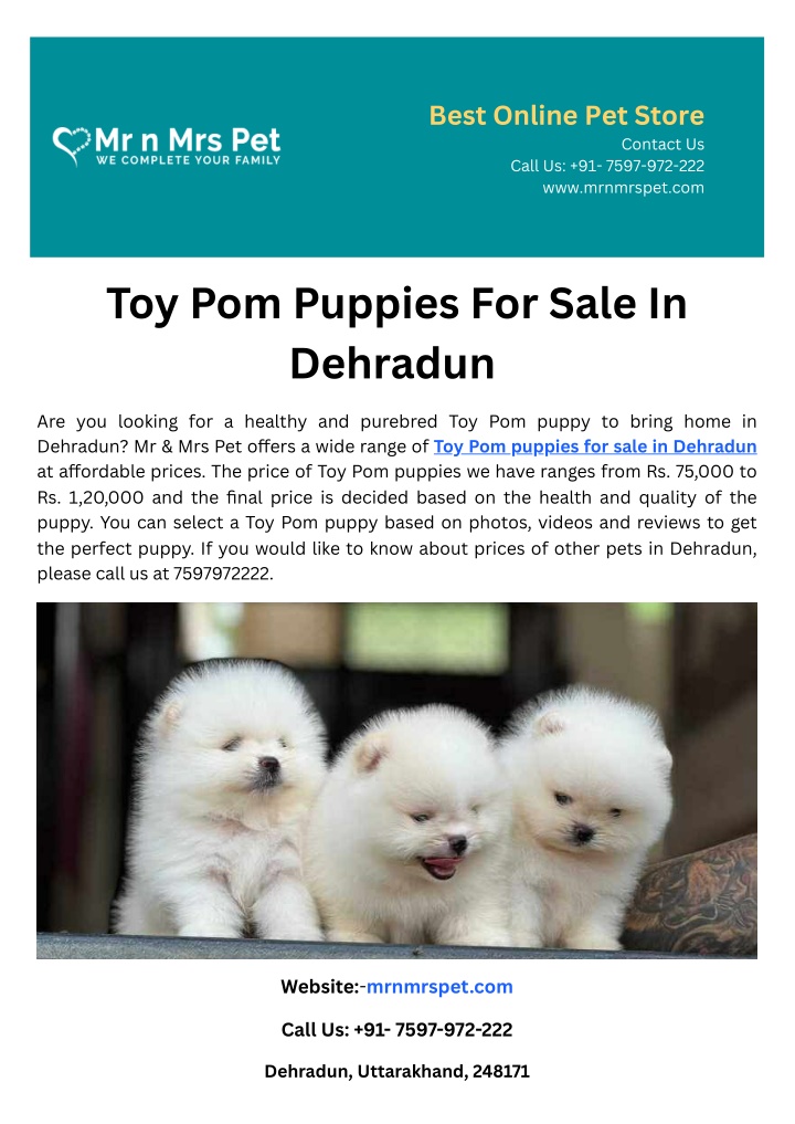 best online pet store