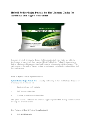 Hybrid Fodder Bajra Poshak 44- The Ultimate Choice for Nutritious and High-Yield Fodder