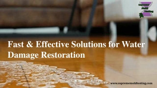 Effective Solutions for Water Damage Restoration