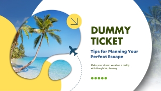 Dummy Tickets for Visa Applications and Travel Planning: Flexibility.