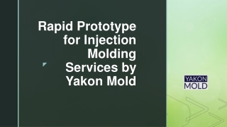 Rapid Prototype for Injection Molding Services by Yakon Mold