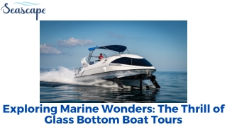 Exploring Marine Wonders The Thrill of Glass Bottom Boat Tours