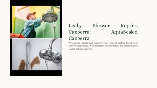 Leaky Shower Repairs Canberra - AquaSealed Canberra