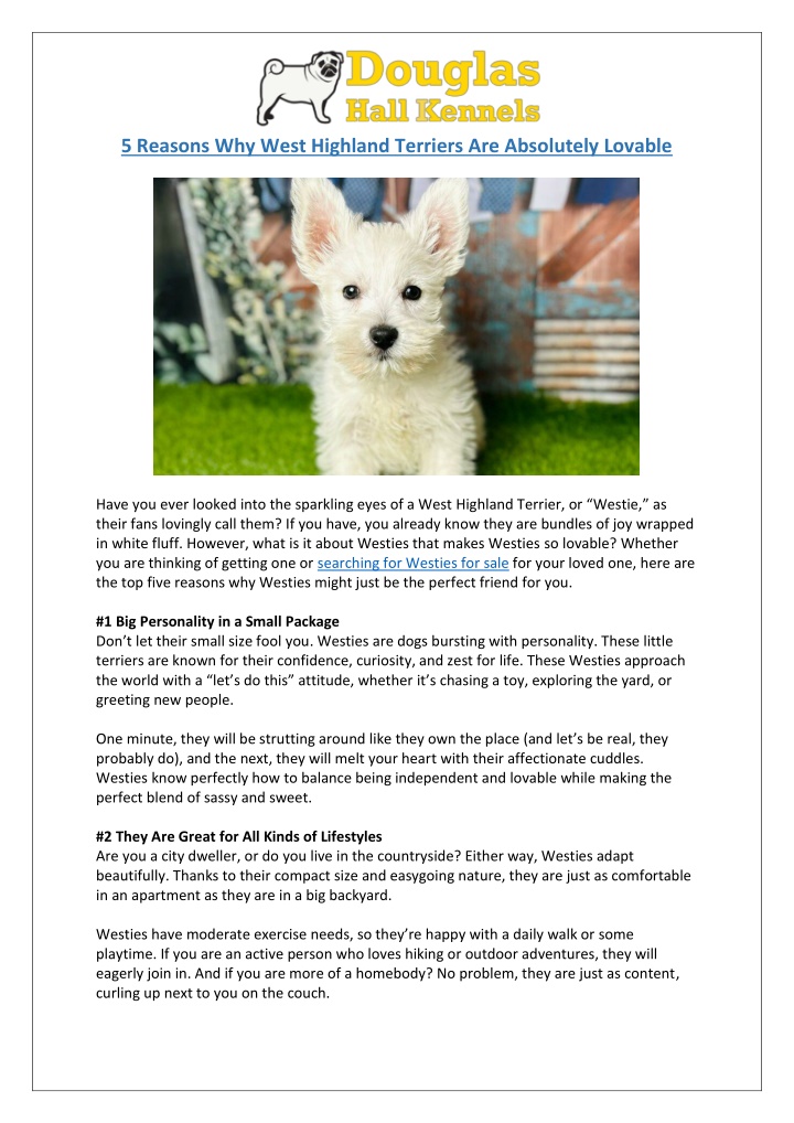 Ppt - 5 Reasons To Love West Highland Terriers (westies) 