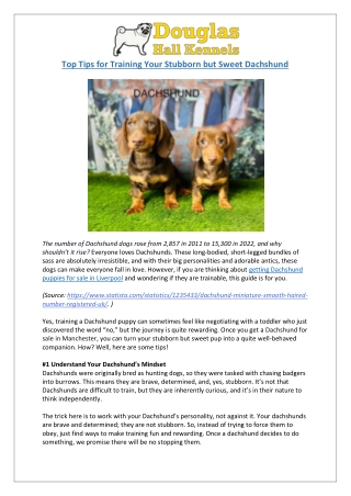 Dachshund Training Made Easy | Expert Advice | Douglas Hall Kennels