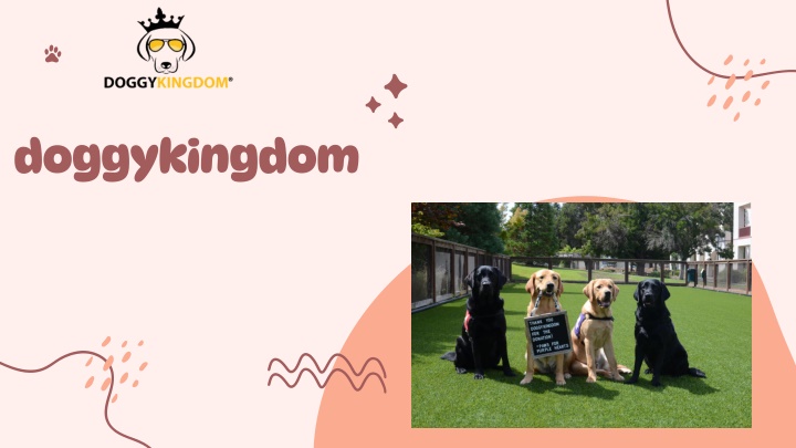 doggykingdom