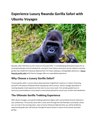 experience luxury rwanda gorilla safari with